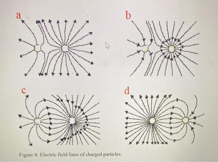 Figure 3: Electric filed lines and equipotential | Chegg.com