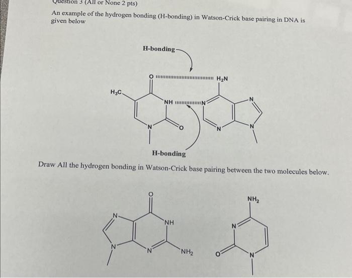 Solved An Example Of The Hydrogen Bonding H Bonding In 0496