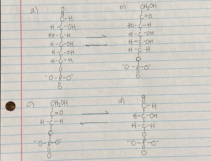 Solved Draw the intermediate that would be formed in each of | Chegg.com