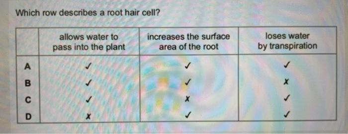 Solved Which row describes a root hair cell? allows water to 