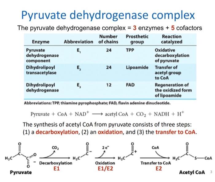 Solved Description Please Calculate How Many ATP Equivalents | Chegg.com