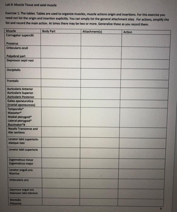 Solved Lab 9: Muscle Tissue and axial muscle Muscle Body | Chegg.com