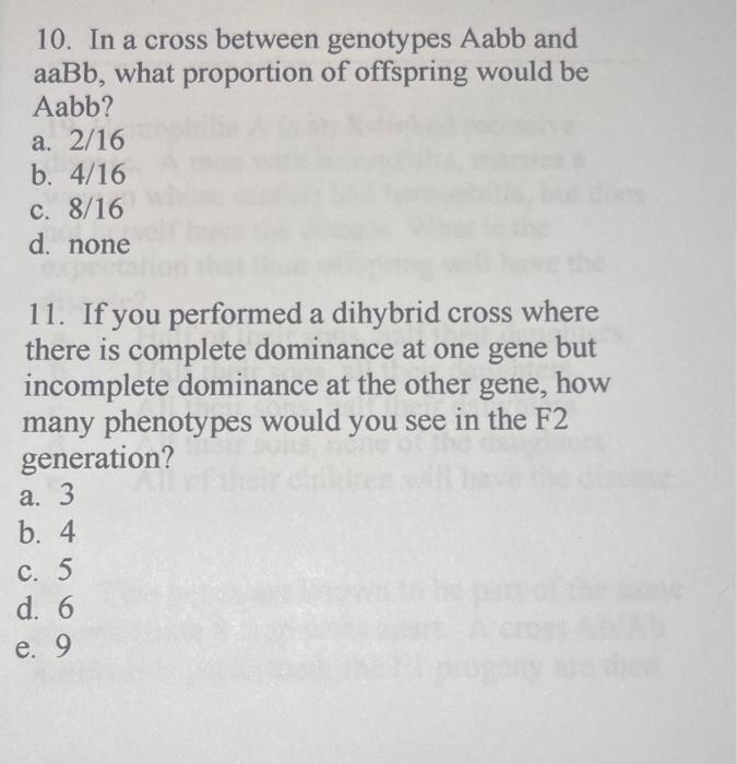 Solved 10 In A Cross Between Genotypes Aabb And Aabb What 6570