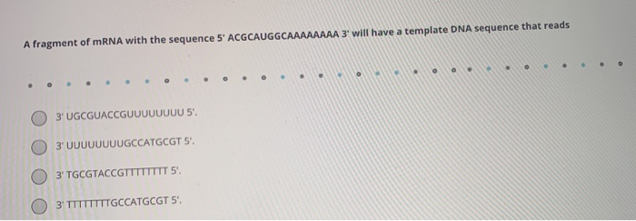 Solved A fragment of mRNA with the sequence 5' | Chegg.com