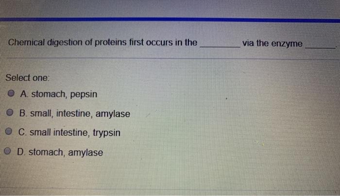 Solved Chemical digestion of proteins first occurs in the | Chegg.com