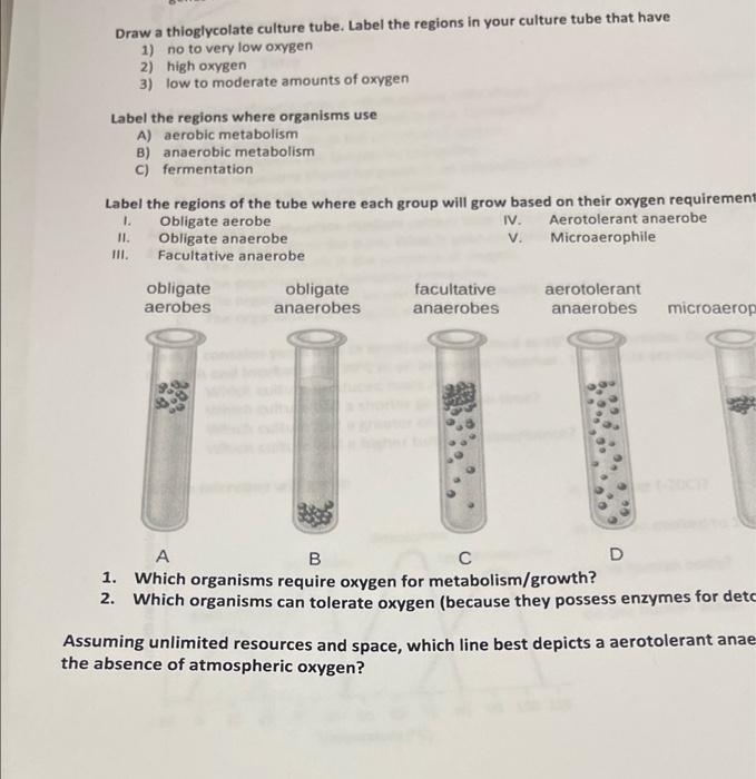 Solved Draw a thioglycolate culture tube, Label the regions