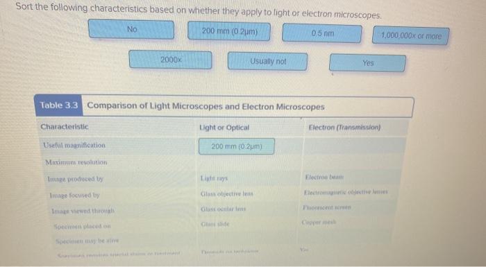 Sort the following characteristics based on whether they apply to light or electron microscopes. No 200 mm ( 2 m) 05 nm 1,000