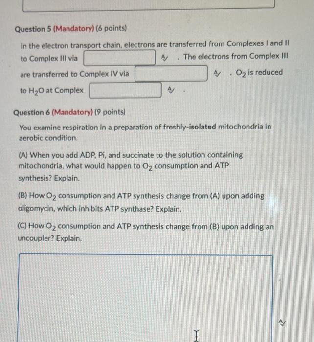 Solved Question 5 (Mandatory) (6 points) In the electron | Chegg.com