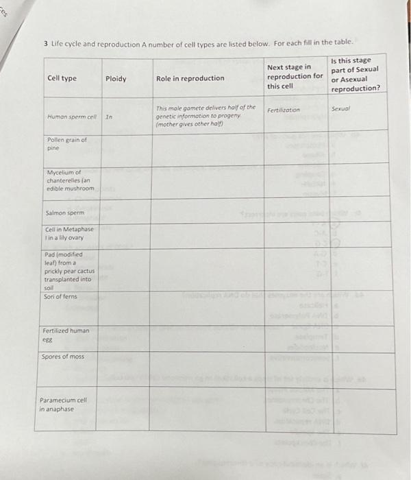 Solved 3 Life cycle and reproduction A number of cell types | Chegg.com
