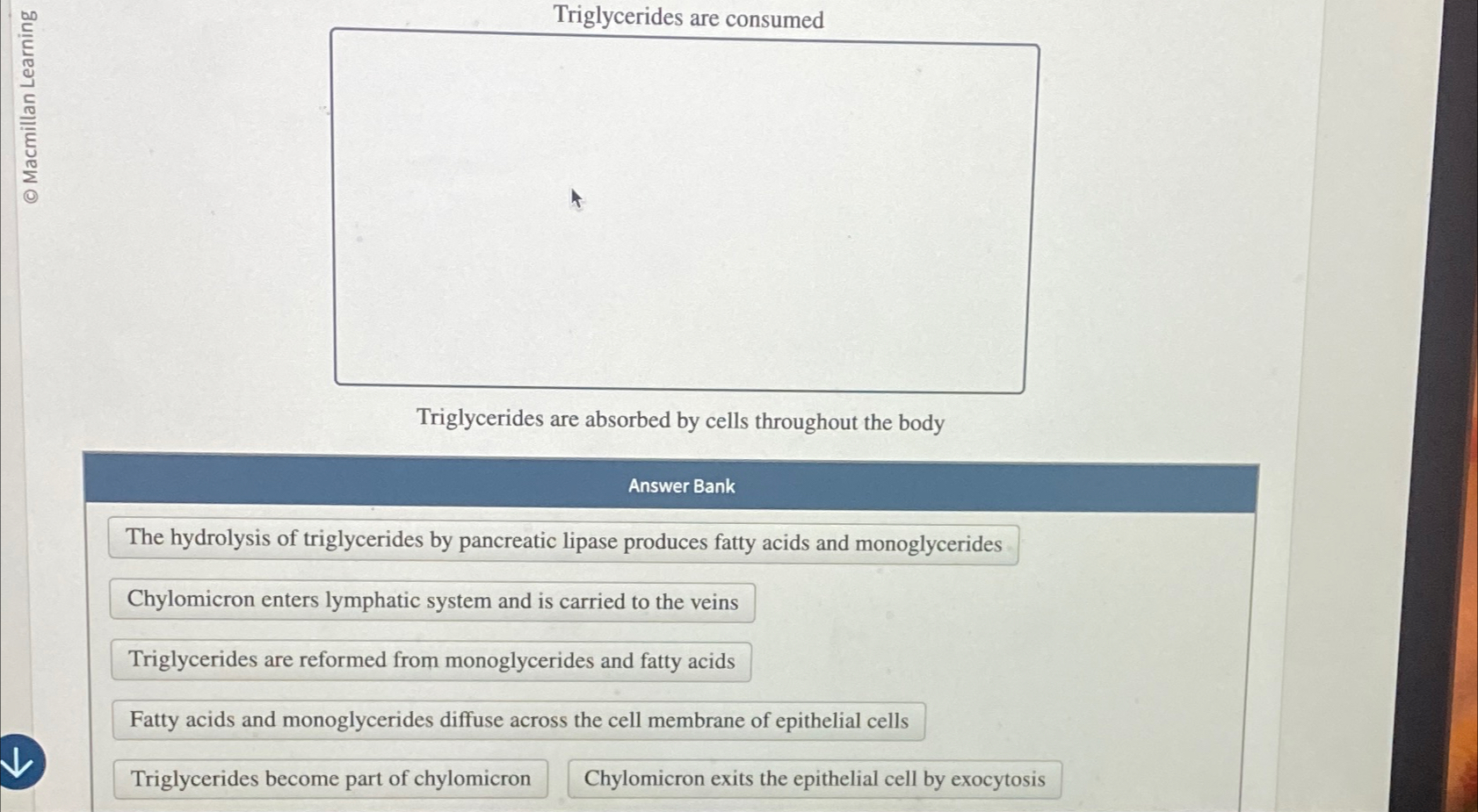 Triglycerides Revealed Unlocking The Mysteries Of Body Fat - jhzdmt1