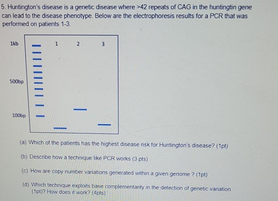 Solved 5. Huntington's disease is a genetic disease where | Chegg.com