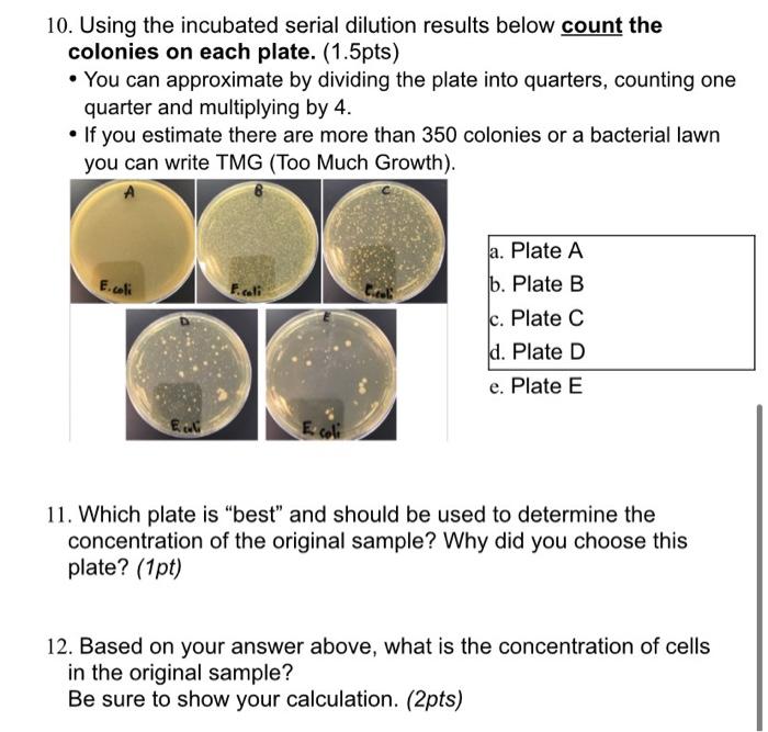 Solved 10. Using the incubated serial dilution results below