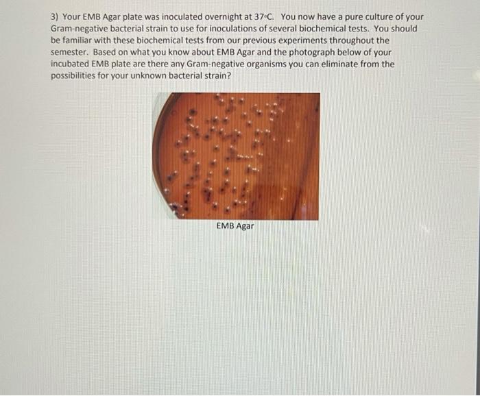 Solved Laboratory Exercise 13: Bacterial Isolation and | Chegg.com