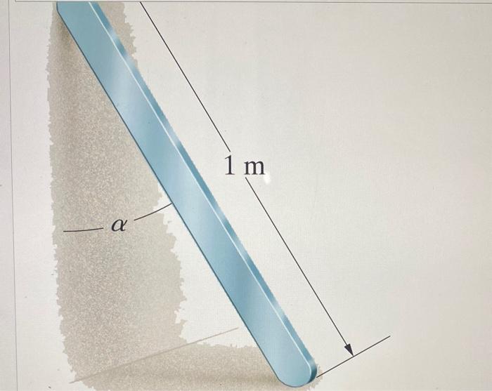 Determine the free body diagram that best describes Chegg com