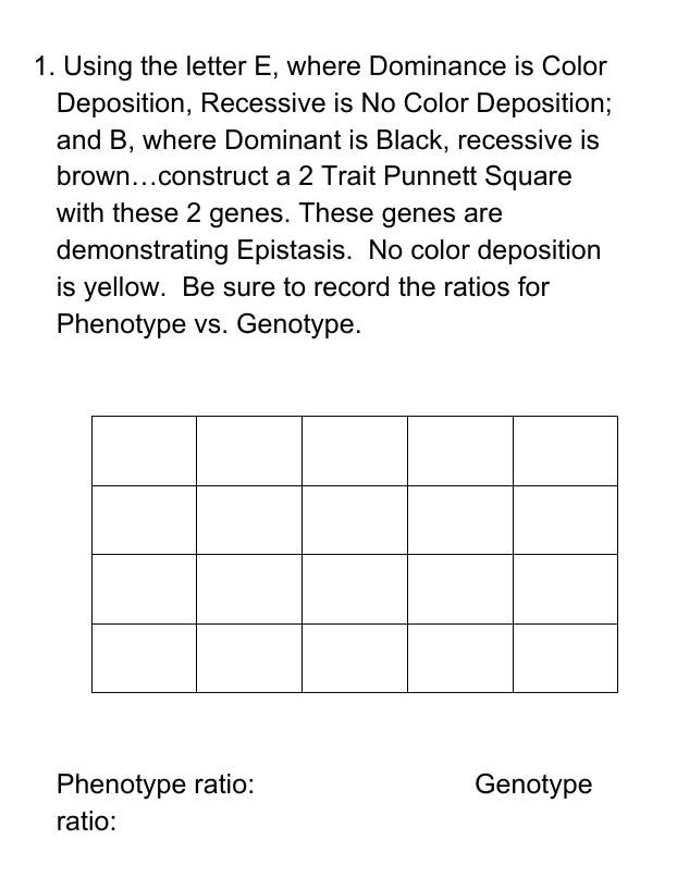 Solved 1. Using the letter E, where Dominance is Color