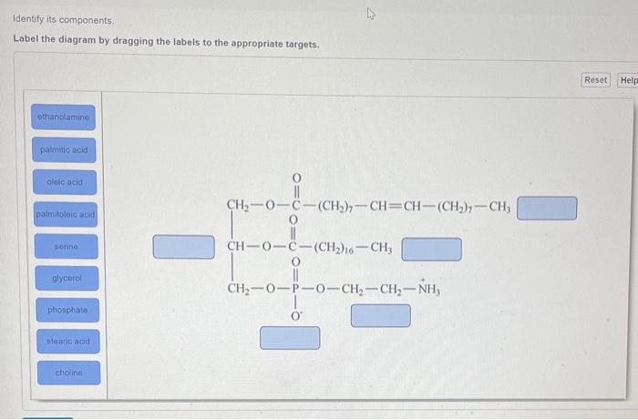 Identify its components.
Label the diagram by dragging the labels to the appropriate targets.