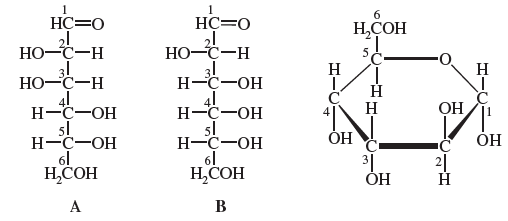 Which of the two linear structures of monosaccharides woul... | Chegg.com