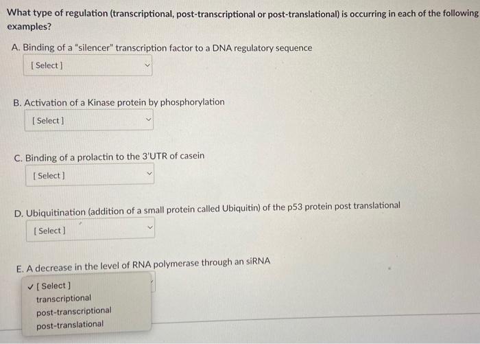 post transcriptional translational regulation