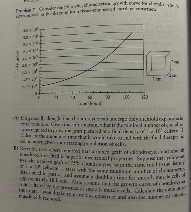 Solved (A) It is generally thought that chondrocytes can | Chegg.com