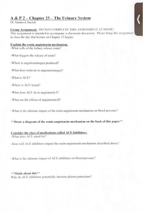 Solved K A&P 2 - Chapter 25 - The Urinary System Dr. | Chegg.com