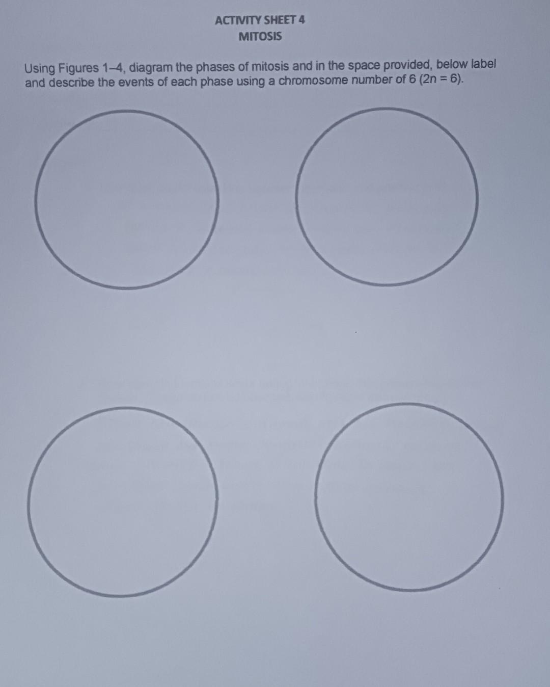 Solved ACTIVITY SHEET 4 MITOSIS Using Figures 1−4, diagram | Chegg.com