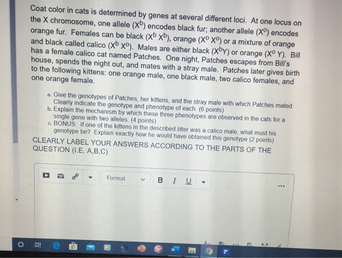 Solved Coat color in cats is determined by genes at several