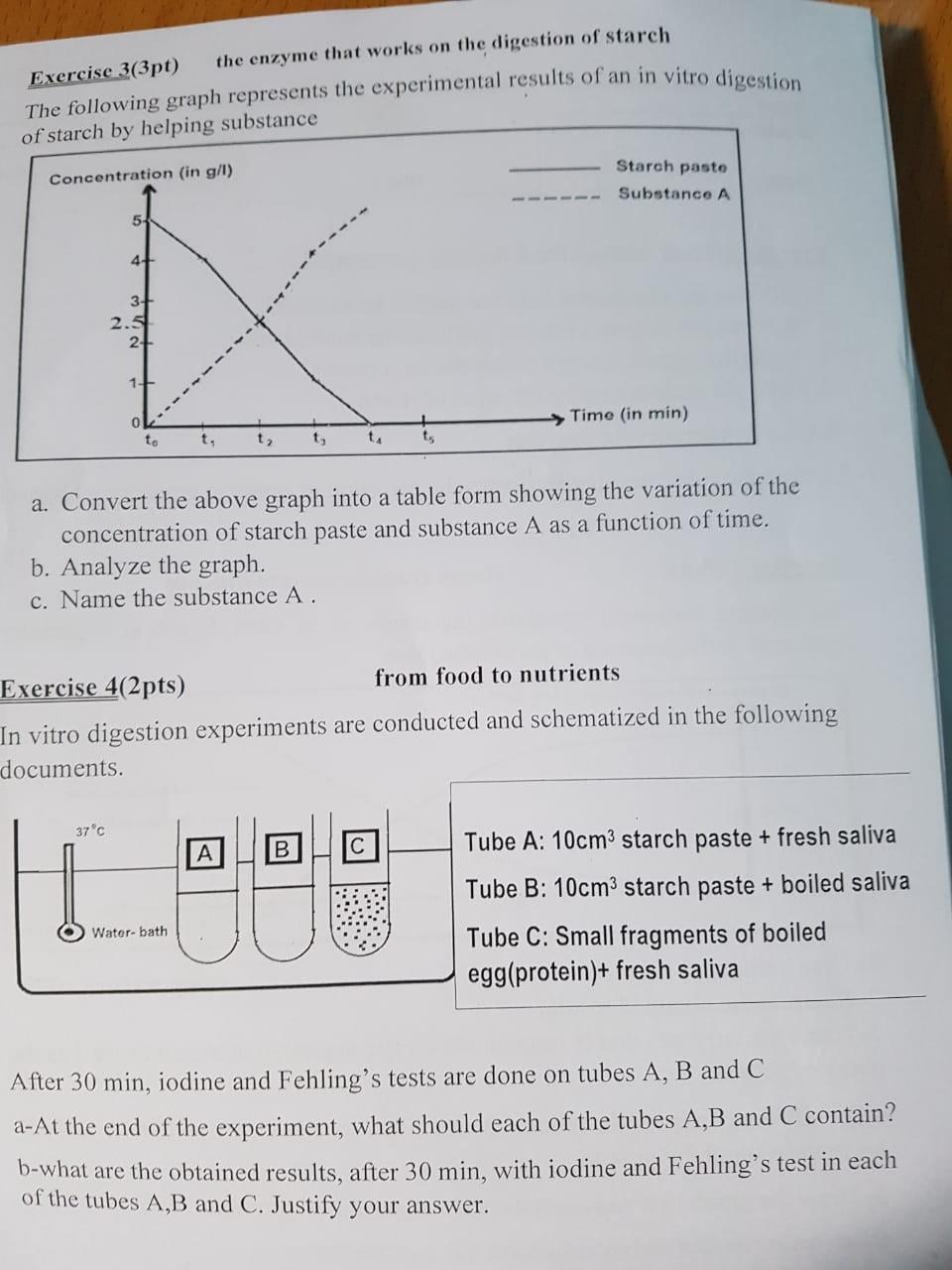 Solved Exercise 3(3pt) the enzyme that works on the | Chegg.com