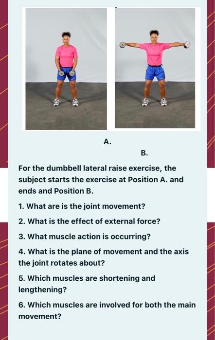 Solved A. B. For the dumbbell lateral raise exercise the Chegg