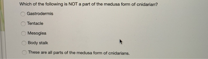 Solved Which of the following is NOT a part of the medusa | Chegg.com