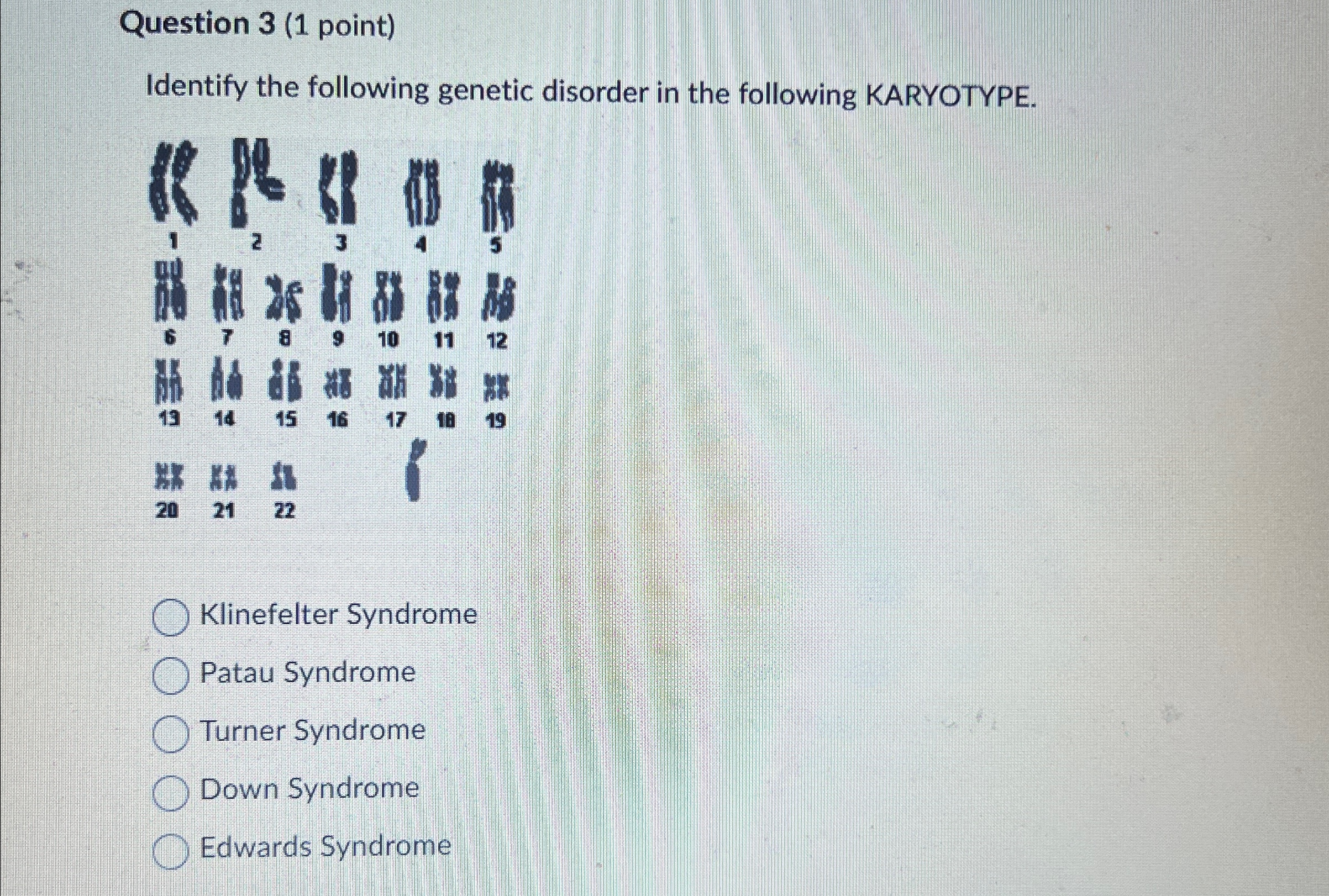 Solved Question 3 (1 ﻿point)Identify the following genetic | Chegg.com