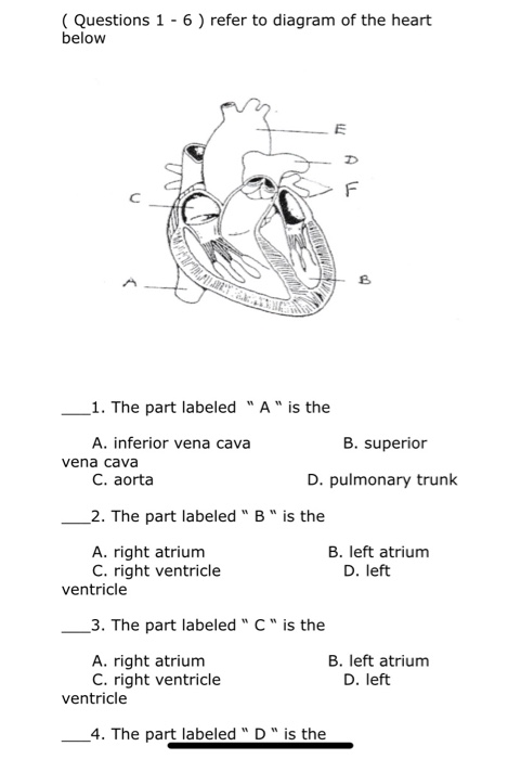 Solved refer to the questions down below to label diagram | Chegg.com