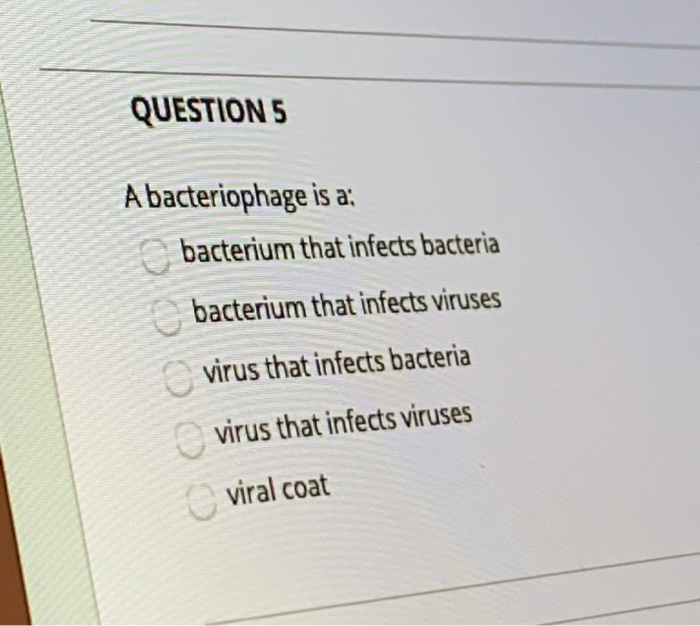 Solved QUESTIONS A bacteriophage is a bacterium that infects