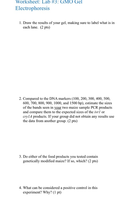 Gel Electrophoresis Worksheet Answers