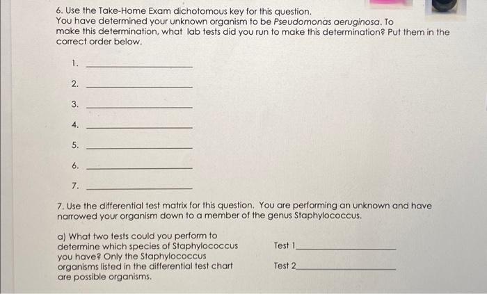 building a dichotomous key take home assignment answers