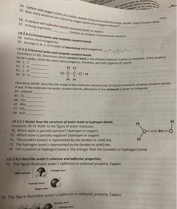 Solved 15 more 200522 54. Carbon and oxygen atoms of a | Chegg.com