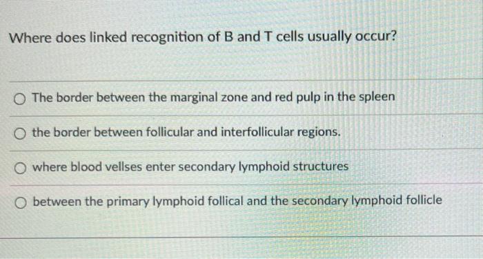 Solved Where does linked recognition of B and T cells | Chegg.com