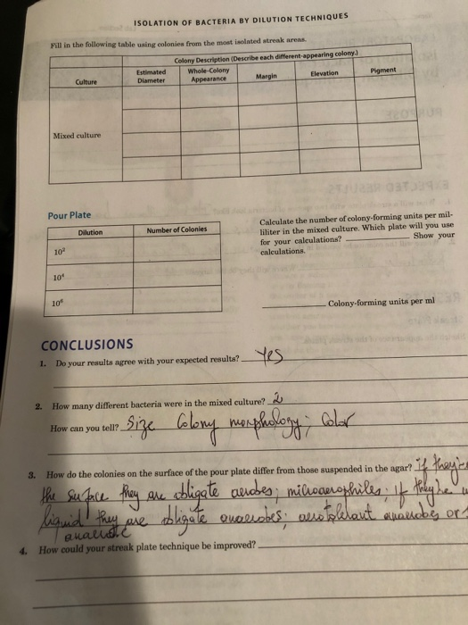 ISOLATION OF BACTERIA BY DILUTION TECHNIQUES Fill in