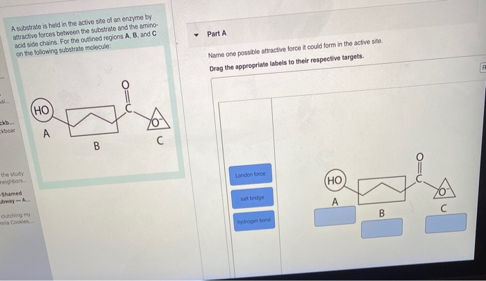 Solved Part A A substrate is held in the active site of an | Chegg.com