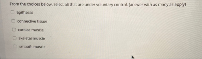 Solved From the choices below, select all that are under | Chegg.com