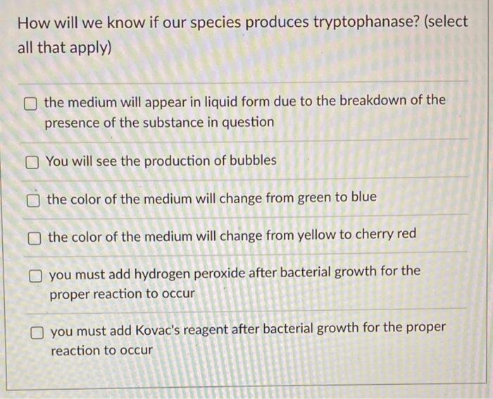 How will we know if our species produces tryptophanase? (select all that apply)
the medium will appear in liquid form due to 