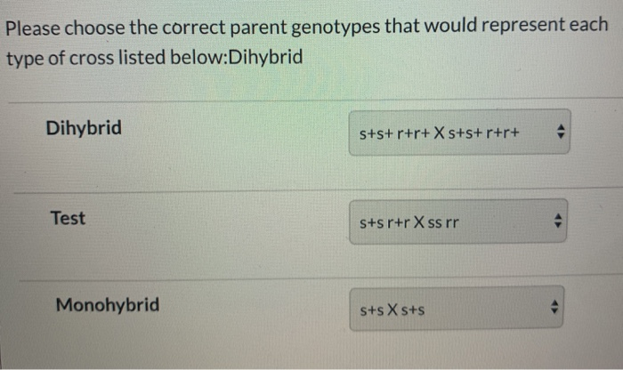 Solved Choose All The Answers Below That Are TRUE About | Chegg.com