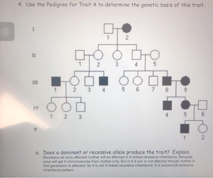Solved 4. Use the Pedigree for Trait A to determine the | Chegg.com