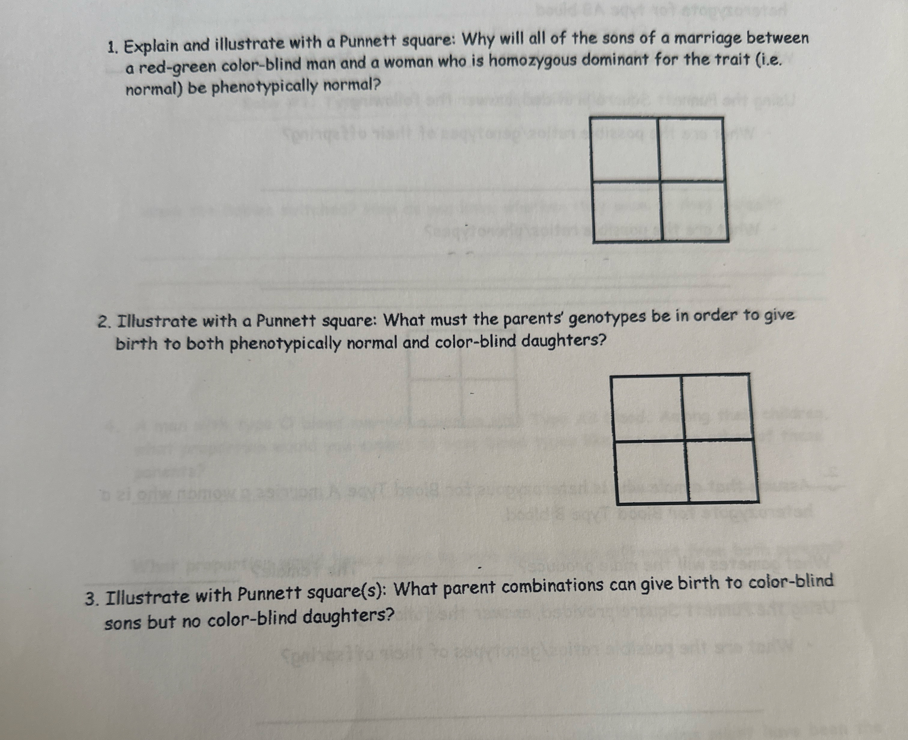 Solved Explain and illustrate with a Punnett square: Why | Chegg.com