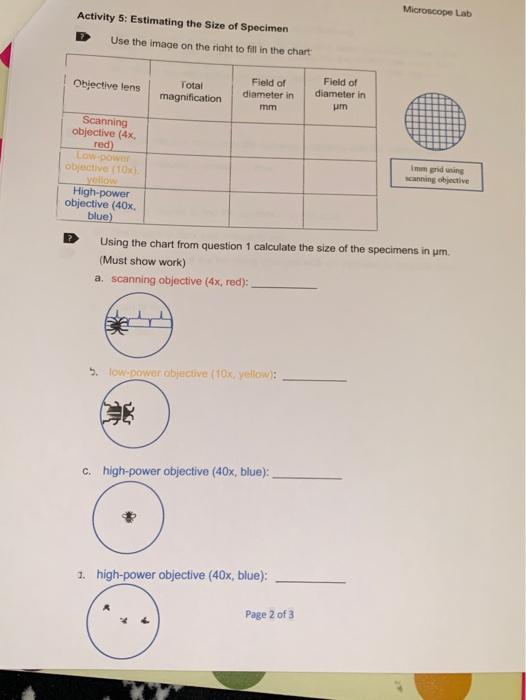 Solved Lab Workbook Microscope Lab Name: Post-lab: | Chegg.com
