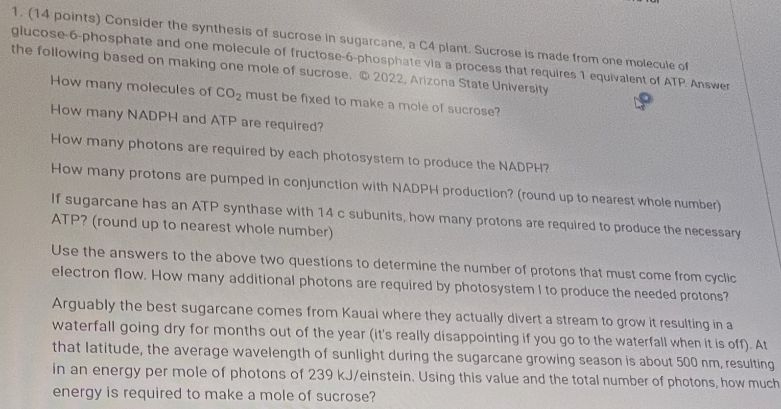 Solved (14 ﻿points) ﻿Consider the synthesis of sucrose in | Chegg.com