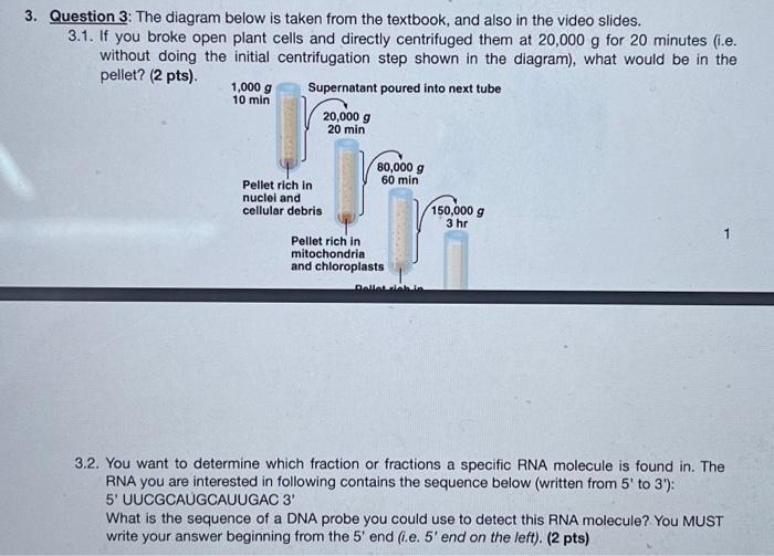 Solved 3. Question 3: The diagram below is taken from the | Chegg.com