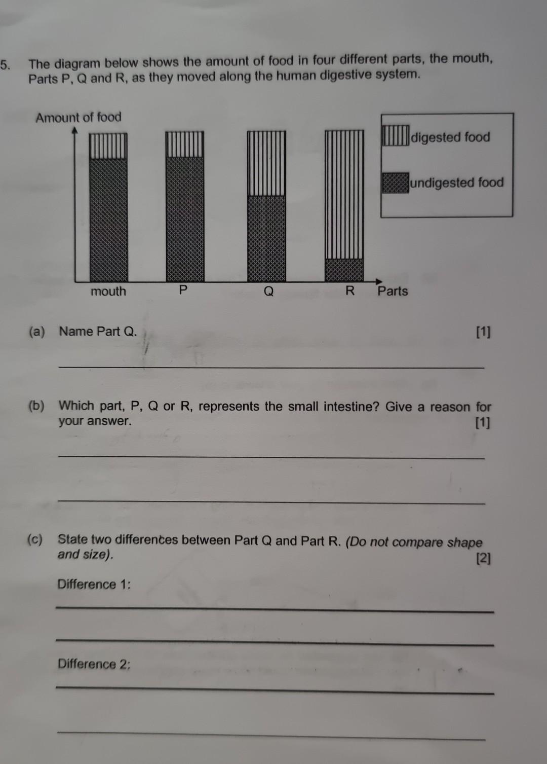 Solved The diagram below shows the amount of food in four | Chegg.com