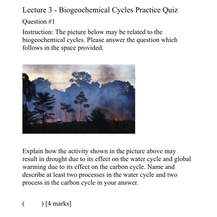 Solved Lecture 3 - Biogeochemical Cycles Practice Quiz | Chegg.com