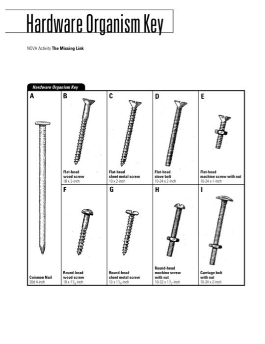 1)Select 5 nails & observe closely their different