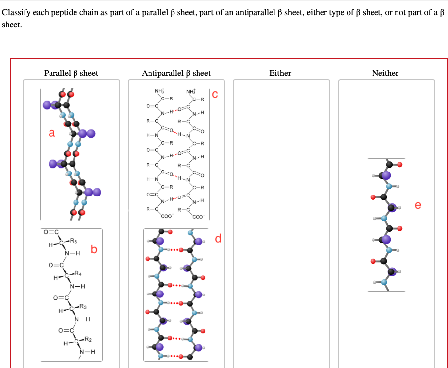 Solved Classify each peptide chain as part of a parallel β | Chegg.com